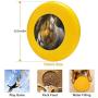 Pet Frisbee Flying Disc Dog Toy - Multifunction Isaiah Charice Cooper