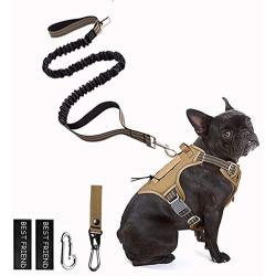 PETAGE Dog Harness and Dog Leash 6FT Heavy Duty Dog Leash with 2 Padded Handles