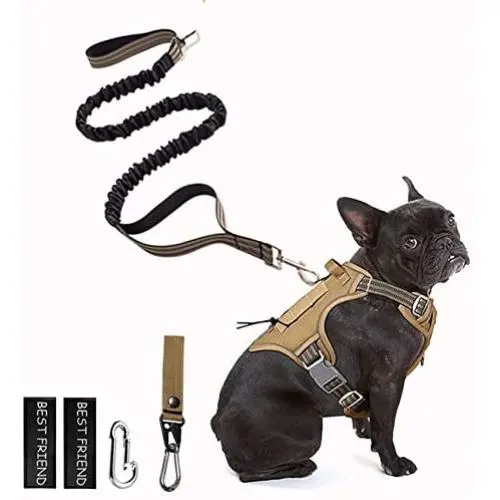 PETAGE Dog Harness and Dog Leash 6FT Heavy Duty Dog Leash with 2 Padded Handles