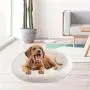 All for Paws Super Cozy Large Dog Cuddle Beds, Washable Bolster Pet Bed for Large Dogs (Grey) All for Paws Super Cozy Large Dog Cuddle Beds, Washable Bolster Pet Bed for Large Dogs (Grey)