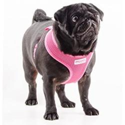 Simply Comfortable Comfort Mesh Dog Harness