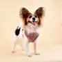 Puppia Auden Harness A Puppia Auden Harness A