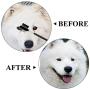 Aodaer 12 Pieces Dog Tear Stain Remover Comb Double-Sided Dog Eye Comb Brush with a Storage Bag Pet Grooming Comb Multipurpose Tool for Pet Cat Dogs Removing Crust and Mucus