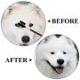 Aodaer 12 Pieces Dog Tear Stain Remover Comb Double-Sided Dog Eye Comb Brush with a Storage Bag Pet Grooming Comb Multipurpose Tool for Pet Cat Dogs Removing Crust and Mucus Aodaer 12 Pieces Dog Tear Stain Remover Comb Double-Sided Dog Eye Comb Brush with a Storage Bag Pet Grooming Comb Multipurpose Tool for Pet Cat Dogs Removing Crust and Mucus