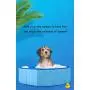 BODISEINT PVC Pet Swimming Pool Foldable Pet Pool for Cat Puppy Dog Bathing Pool Child Bathtub Kiddie Pool Beach Outdoor Play Summer Water Fun BODISEINT PVC Pet Swimming Pool Foldable Pet Pool for Cat Puppy Dog Bathing Pool Child Bathtub Kiddie Pool Beach Outdoor Play Summer Water Fun
