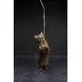 CAT DANCER Jungle Cat Wand 2 Pack, Multi Color (305) CAT DANCER Jungle Cat Wand 2 Pack, Multi Color (305)
