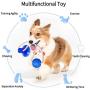 Feilifan Pet Molar Bite Toy, Multifunction Interactive Self-Playing Rubber Ball Toy with Suction Cup Molar Chew Toy Cleaning Teeth for Dogs (Green/Blue, 1 Pack)