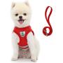 Supet Cat Harness and Leash Set for Walking Cat and Small Dog Harness Soft Mesh Puppy Harness Adjustable Cat Vest Harness with Reflective Strap Comfort Fit for Pet Kitten Puppy Rabbit