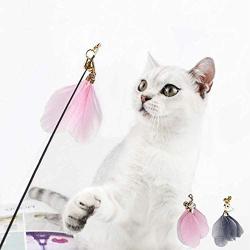 BeesClover Long Handle Steel Wire Feather Pole Cat Teaser Interactive Toy pet Gift