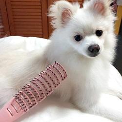 EL AMIGO Pet Brush Coral Slicker/Grooming Brush Shedding Grooming Tools/Hypoallergenic Bath Exfoliation Massage