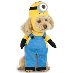 Rubies Costume Company Minion Stuart Arms Pet Suit