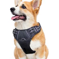 Dog Harness No Pull Reflective: Adjustable Pet Puppy Harness with 2 Leash Clips Comfortable Padded Dog Vest, Easy Control Handle for Small Medium Large Dogs Training, Outdoor Running Walking,M