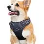 Dog Harness No Pull Reflective: Adjustable Pet Puppy Harness with 2 Leash Clips Comfortable Padded Dog Vest, Easy Control Handle for Small Medium Large Dogs Training, Outdoor Running Walking,M