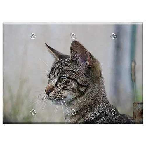Triple Blank Wall Plate Cover - Cat Kitten Young Cats Cat Baby Young Cat Triple Blank Wall Plate Cover - Cat Kitten Young Cats Cat Baby Young Cat