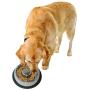 Mr. Peanuts Stainless Steel Interactive Slow Feed Dog Bowl with a Newly Improved Bonded Silicone Base, Fun Healthy Bloat Stop Feeder
