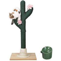 PetnPurr Large Handmade Cactus Cat Scratching Post and Cactus Ceramic Raised Food Bowl