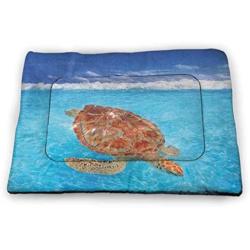 DayDayFun Turtle Pet Mat Bed Close Up Photo of Green Turtle at Sipadan Borneo Malaysia Cute Animal Under The Sea Waterproof and Urine-Proof Pet Mat Blue Yellow