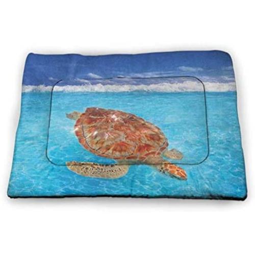 DayDayFun Turtle Pet Mat Bed Close Up Photo of Green Turtle at Sipadan Borneo Malaysia Cute Animal Under The Sea Waterproof and Urine-Proof Pet Mat Blue Yellow