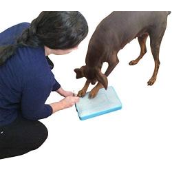 DiggerDog Nail File Stress Free Alternative to Dog Nail Clippers and Dog Nail Grinders (Blue)