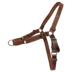 Hide & Drink, Leather No Pull Walking Dog Harness, Adjustable Straps, Pet Training Supplies, Accessories, Handmade Includes 101 Year Warranty :: Bourbon Brown