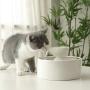 Pet Drinking Ceramic Fountain Water Feeder Cat Automatic Water Dispenser Smart Water Circulation Bowl 2L Dog Water Bottle