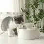 Pet Drinking Ceramic Fountain Water Feeder Cat Automatic Water Dispenser Smart Water Circulation Bowl 2L Dog Water Bottle Pet Drinking Ceramic Fountain Water Feeder Cat Automatic Water Dispenser Smart Water Circulation Bowl 2L Dog Water Bottle