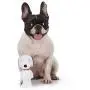 Peanuts Charlie Brown Peanuts Charlie Brown