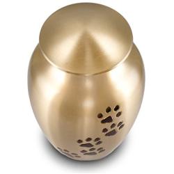 Best Friend Services Pet Urn - Ottillie Paws Memorial Pet Cremation Urns for Dogs and Cats Ashes Hand Carved Brass Memory Keepsake Urn