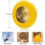 Pet Frisbee Flying Disc Dog Toy - Multifunction Beside Still Waters Greg Olsen