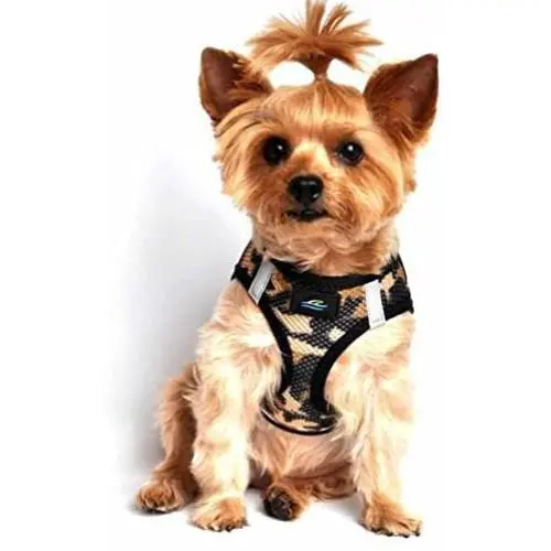 American River Dog Harness Camouflage Collection - Orange Camo XXL American River Dog Harness Camouflage Collection - Orange Camo XXL