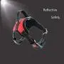 Mretty Dog Harness Adjustable No Pull Soft Vest Breathable Harness Outdoor Walking Hiking Handle Hook and Reflective Leash Set Large Dog Harnesses Mretty Dog Harness Adjustable No Pull Soft Vest Breathable Harness Outdoor Walking Hiking Handle Hook and Reflective Leash Set Large Dog Harnesses