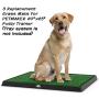 Artificial Grass Puppy Pad for Dogs and Small Pets – Portable Training Pad with Tray – Dog Housebreaking Supplies by PETMAKER