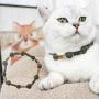 ocijf179 Cat Toy Pet Cat Kitten Matatabi Necklace Shaped Molar Stick Interactive Chew Catnip Toy
