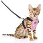 AVCCAVA Cat Harness and Leash for Walking, Escape Proof Soft Adjustable Vest Harnesses for Cats,Easy Control Breathable Reflective Strips Kittens Harness and Small Dog Harness