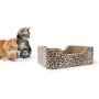 Animals Favorite Cat Scratcher Variation