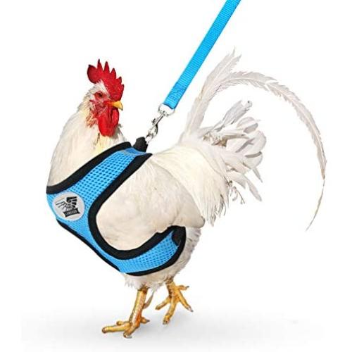 Lansiger Adjustable Chicken Harness with Leash Small Pet Harness for Duck Goose Hen Traning Walking