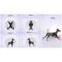 Copatchy No Pull Reflective Adjustable Dog Harness with Handle