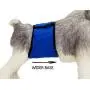 Male Dog Belly Band Wraps Washable Diapers for Small and Medium Dogs(3 Pack) by Mkono Male Dog Belly Band Wraps Washable Diapers for Small and Medium Dogs(3 Pack) by Mkono