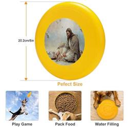 Pet Frisbee Flying Disc Dog Toy - Multifunction Even A Sparrow Greg Olsen