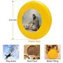 Pet Frisbee Flying Disc Dog Toy - Multifunction Even A Sparrow Greg Olsen