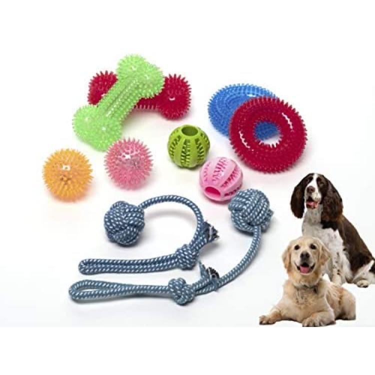 DSA Pets Dog Toy Set – 8 Pcs Squeaky Toys for Small and Medium Dogs + 2 Pcs  Bonus Tug Ropes – Spiky Dog Balls – Interactive IQ Treat Ball – Durable Dog  Boredom Toys – Stimulating Dog Toys