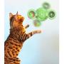 Romote Windmill Cat Toy with Led and Catnip Ball Suction Cup Cat Toys Portable Turntable Teasing Pet Toy Scratch Hair Brush Yellow