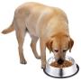 NAIYO Dog Bowl Stainless Steel Dog Bowl with Rubber Base for 8oz 16oz 26oz Small/Medium/Large Dogs,Pets Feeder Bowl and Water Bowl Perfect Choice,Dogs and Kittens