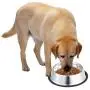 NAIYO Dog Bowl Stainless Steel Dog Bowl with Rubber Base for 8oz 16oz 26oz Small/Medium/Large Dogs,Pets Feeder Bowl and Water Bowl Perfect Choice,Dogs and Kittens NAIYO Dog Bowl Stainless Steel Dog Bowl with Rubber Base for 8oz 16oz 26oz Small/Medium/Large Dogs,Pets Feeder Bowl and Water Bowl Perfect Choice,Dogs and Kittens