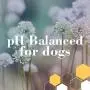 Burt’s Bees for Dogs Oatmeal Shampoo with Colloidal Oat Flour and Honey | Best Natural Dog Shampoo for Dry Skin | Great for Sensitive Skin, 16 Ounces Burt’s Bees for Dogs Oatmeal Shampoo with Colloidal Oat Flour and Honey | Best Natural Dog Shampoo for Dry Skin | Great for Sensitive Skin, 16 Ounces