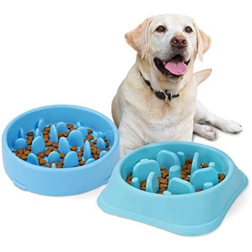JASGOOD Dog Feeder Slow Eating Pet Bowl Eco-Friendly Durable Non-Toxic Preventing Choking Healthy Design Bowl for Dog Pet