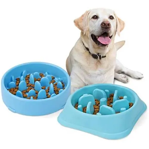 JASGOOD Dog Feeder Slow Eating Pet Bowl Eco-Friendly Durable Non-Toxic Preventing Choking Healthy Design Bowl for Dog Pet JASGOOD Dog Feeder Slow Eating Pet Bowl Eco-Friendly Durable Non-Toxic Preventing Choking Healthy Design Bowl for Dog Pet