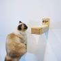 Climb Zoo Cat Scratching Post, (Set of 2) Horizontally Wall Mounted Cat Steps for Indoor Cats