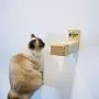 Climb Zoo Cat Scratching Post, (Set of 2) Horizontally Wall Mounted Cat Steps for Indoor Cats Climb Zoo Cat Scratching Post, (Set of 2) Horizontally Wall Mounted Cat Steps for Indoor Cats