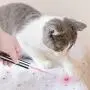 Cat Toys for Indoor Cat - Dog Chaser Toys Interactive Pet Kitten Training Cat Toys for Indoor Cat - Dog Chaser Toys Interactive Pet Kitten Training